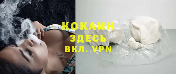 МДПВ Богородск