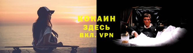 прущая мука Богданович