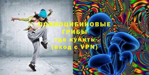 a pvp Бородино
