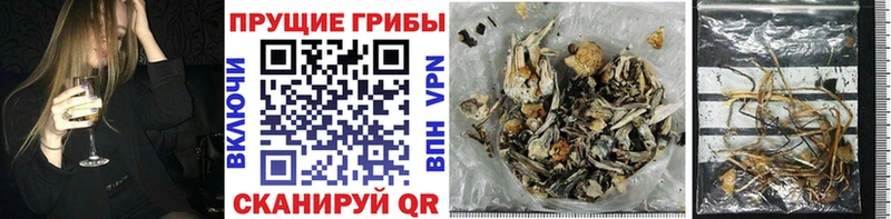 гидра рабочий сайт  Красноармейск  Галлюциногенные грибы Magic Shrooms 